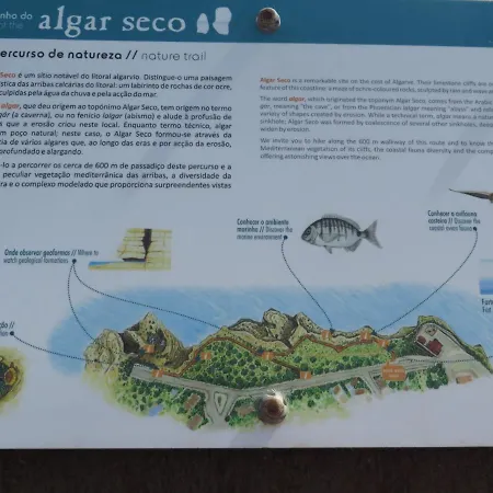 Com Piscina Perto Da * Carvoeiro (Lagoa)