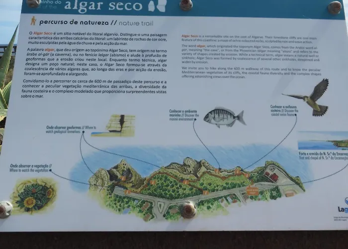 Com Piscina Perto Da * Carvoeiro